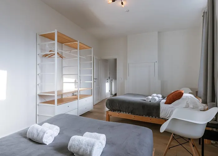 Huswell - Spacious Apartment In The Historic Center Of Ghent